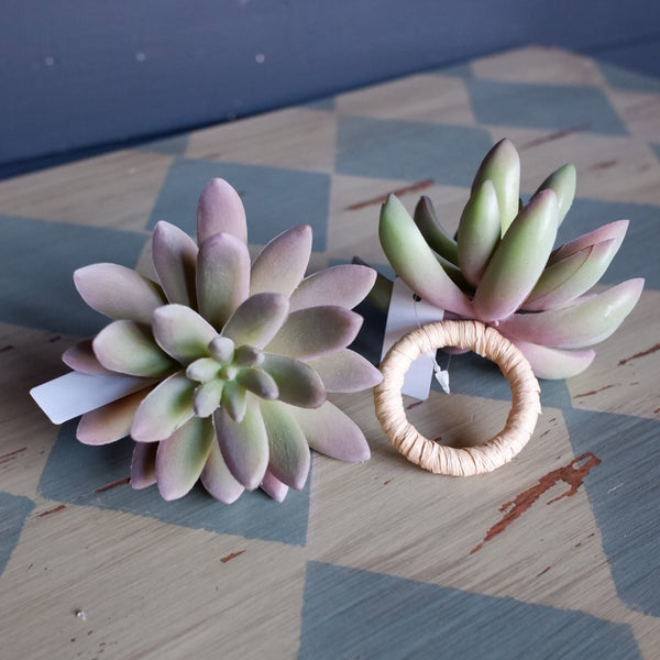 New Set of 4 NAPKIN RINGS Succulent Plant Decorative Table Farmhouse Style